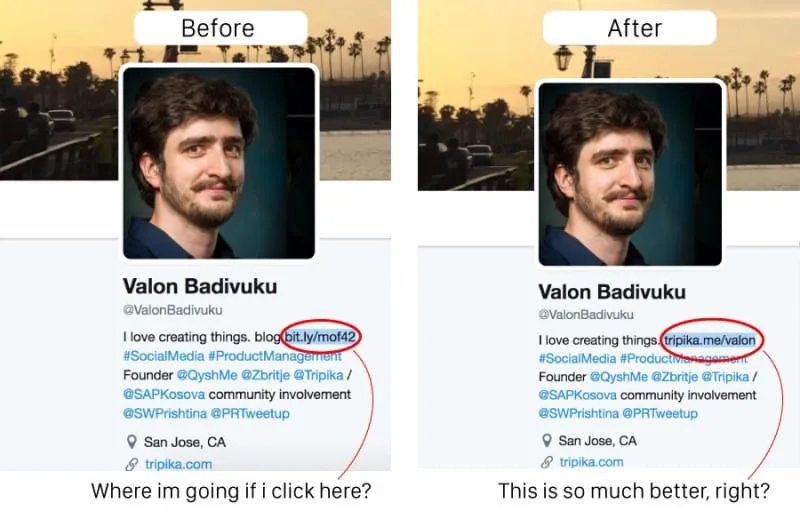 A branded short link used in an X (Twitter) bio