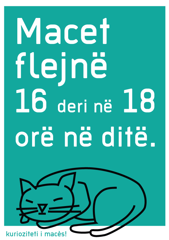 Kurizoiteti_macor